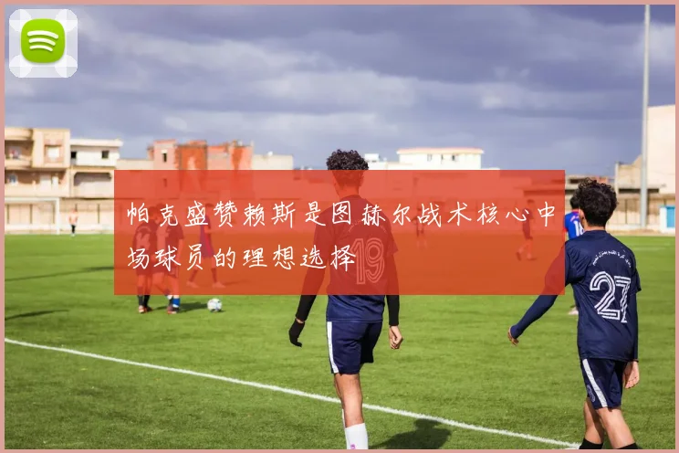 帕克盛赞赖斯是图赫尔战术核心中场球员的理想选择