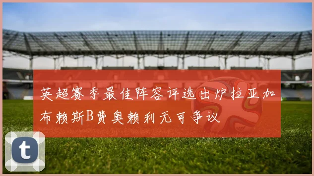 英超赛季最佳阵容评选出炉拉亚加布赖斯B费奥赖利无可争议